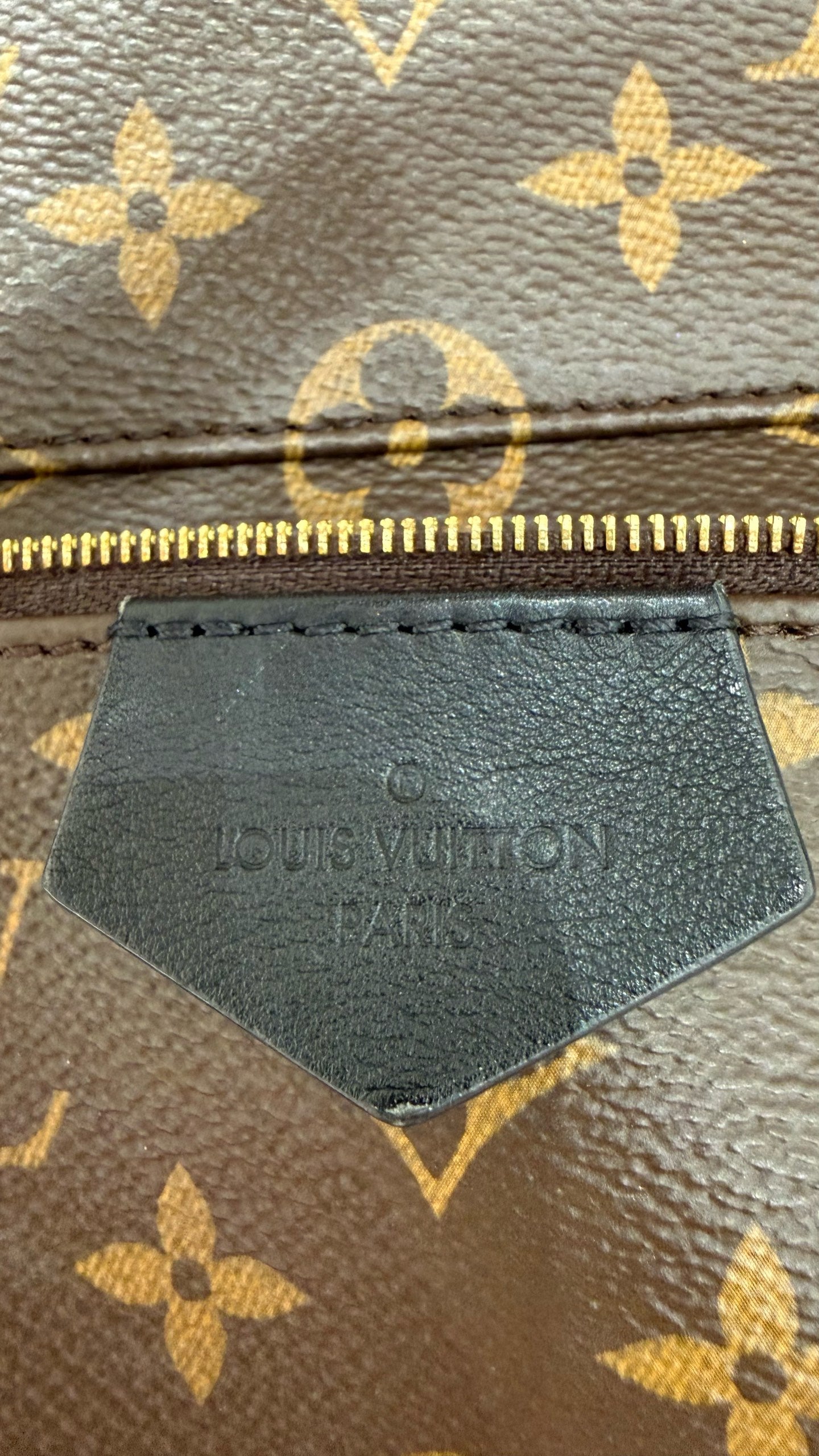 Louis Vuitton Backpack