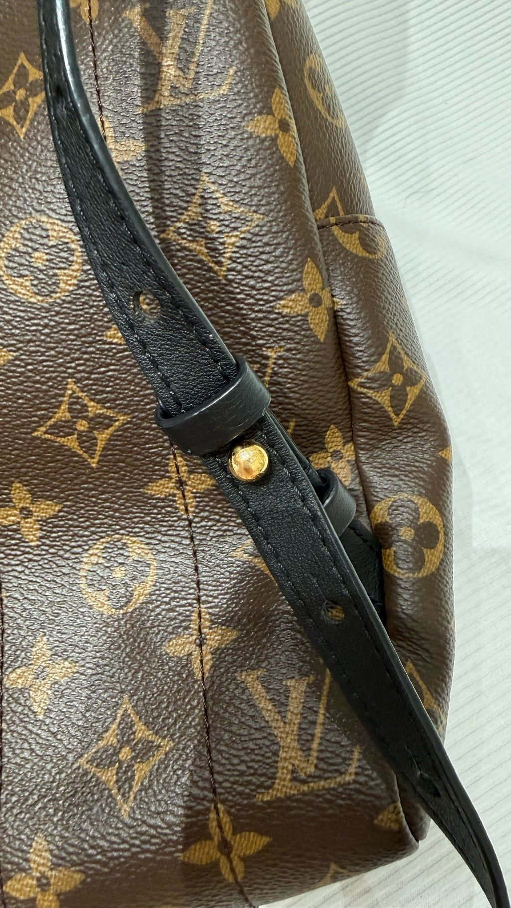 Louis Vuitton Backpack