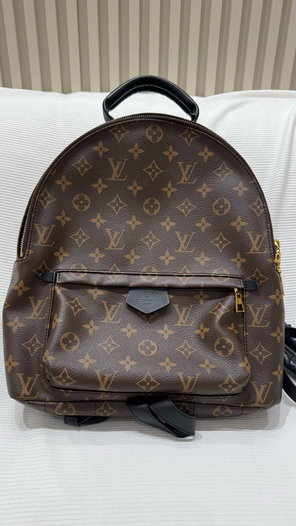 Louis Vuitton Backpack