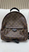 Louis Vuitton Backpack
