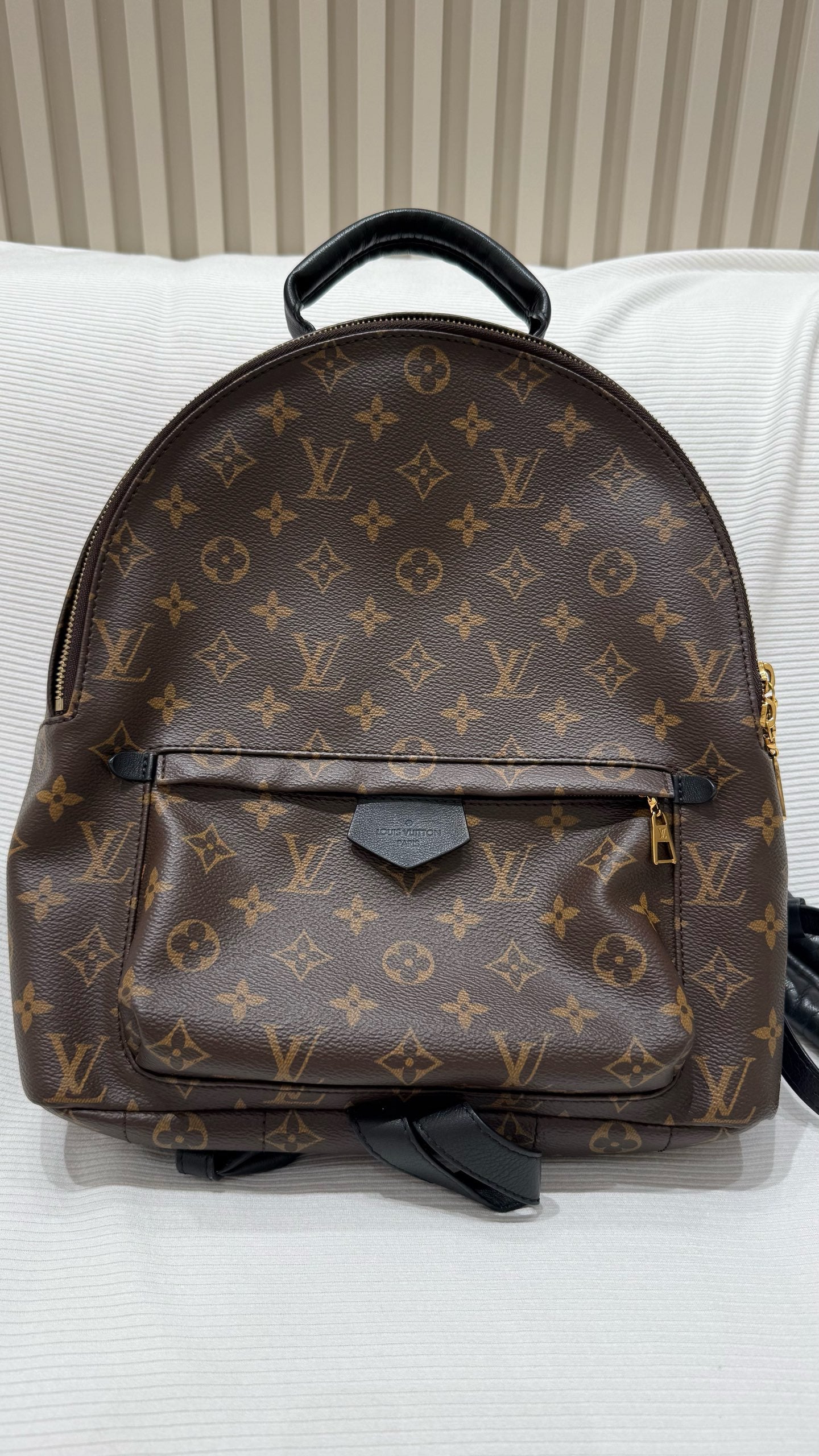 Louis Vuitton Backpack
