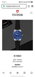 Tudor Biyuan Type 54 37 millimeters