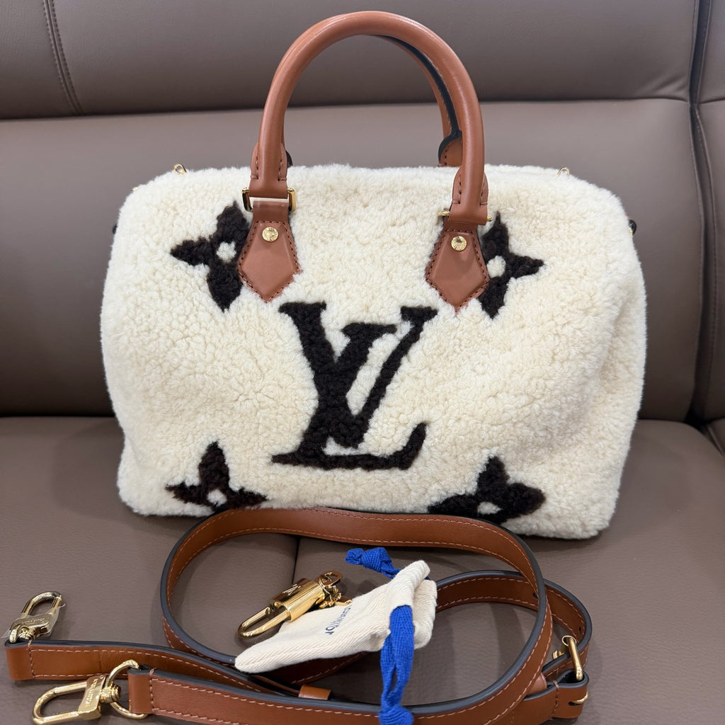 Louis Vuitton Leather 25 x 19 x 15