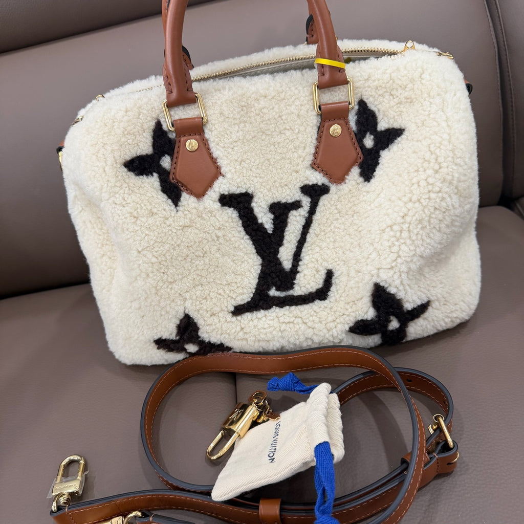 Louis Vuitton Leather 25 x 19 x 15