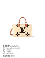 Louis Vuitton Leather 25 x 19 x 15
