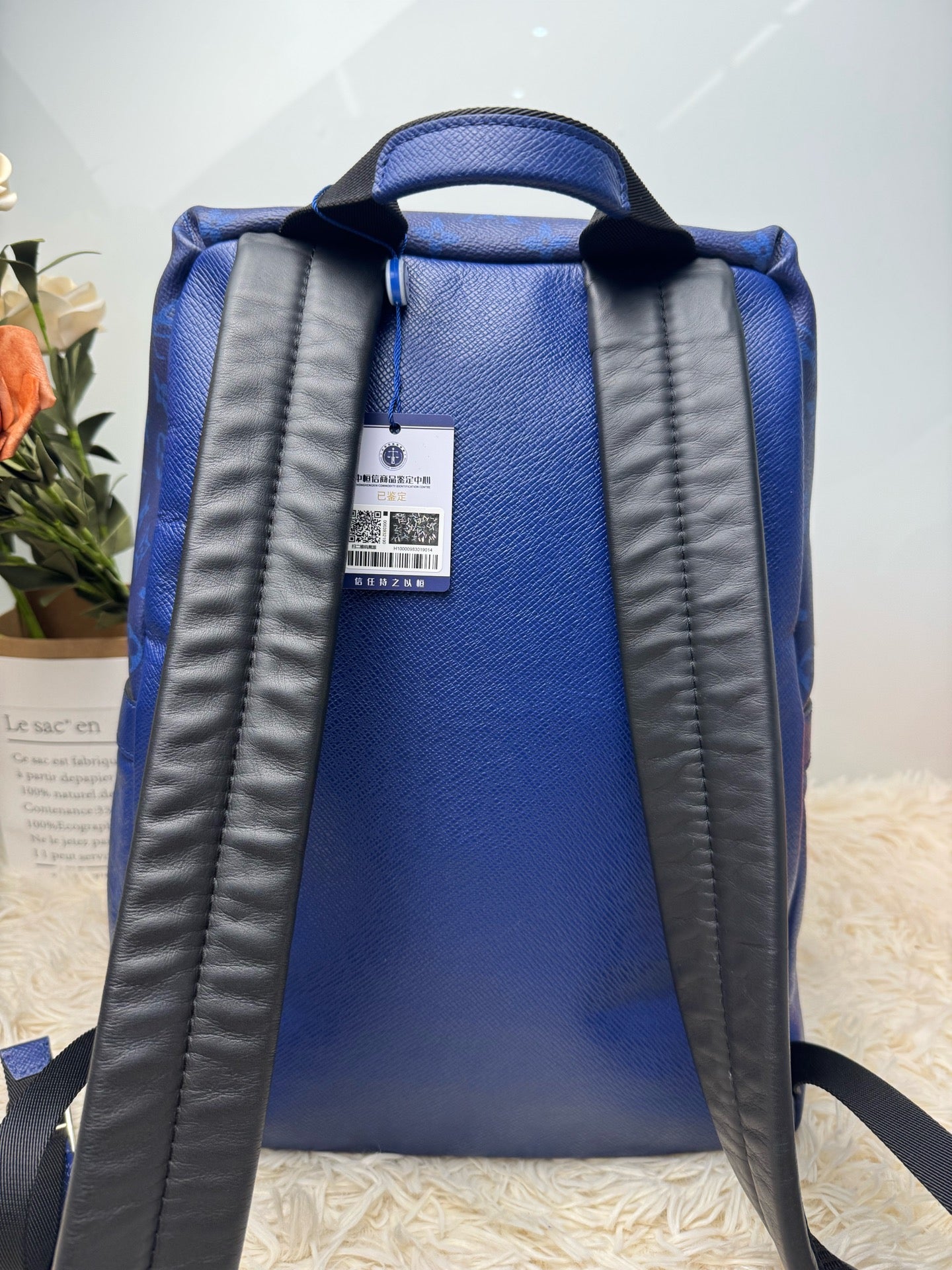 Louis Vuitton Backpack