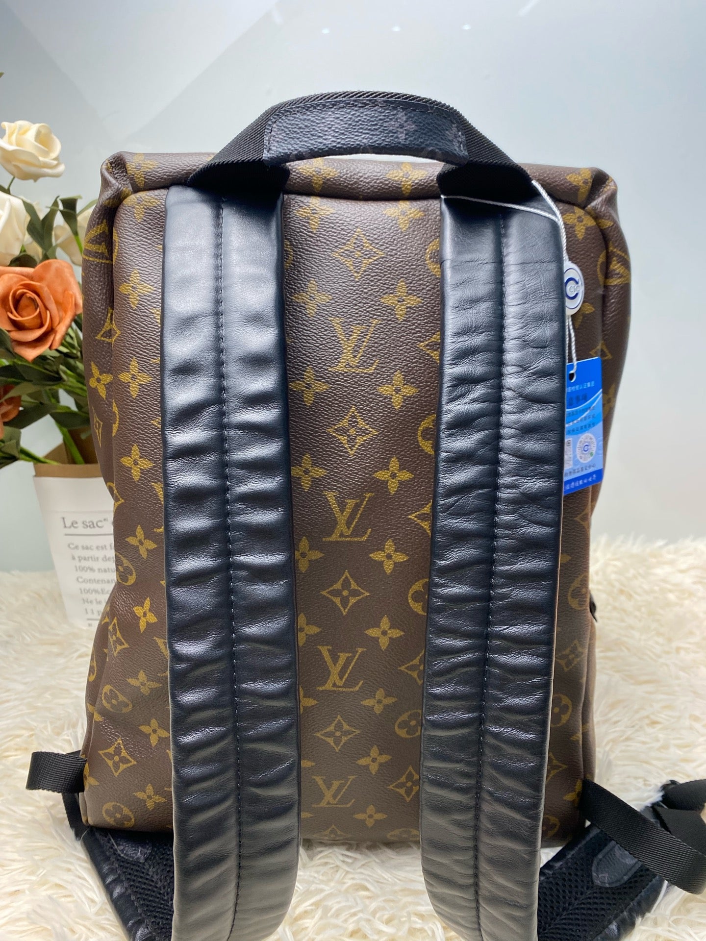 Louis Vuitton Backpack
