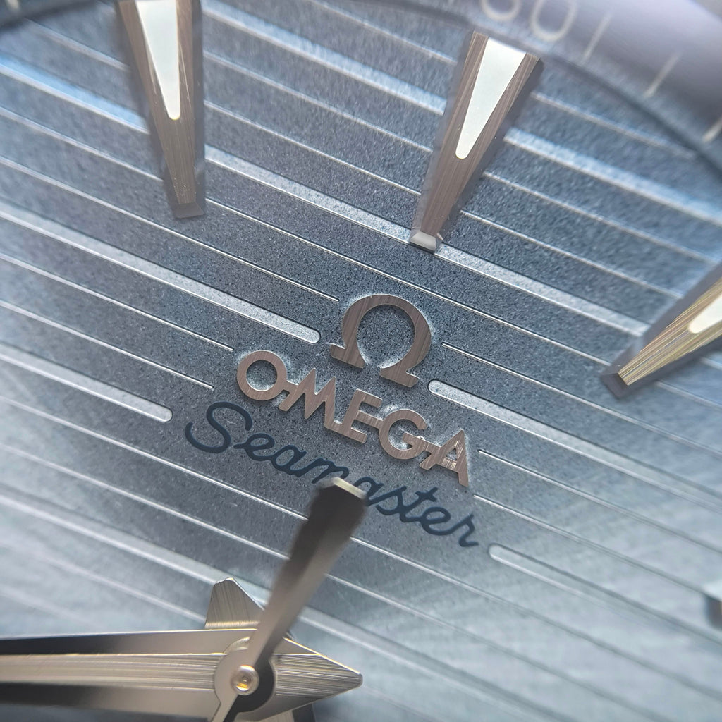 Omega Seahorse 41 millimeters 220.10.41.21.03.005
