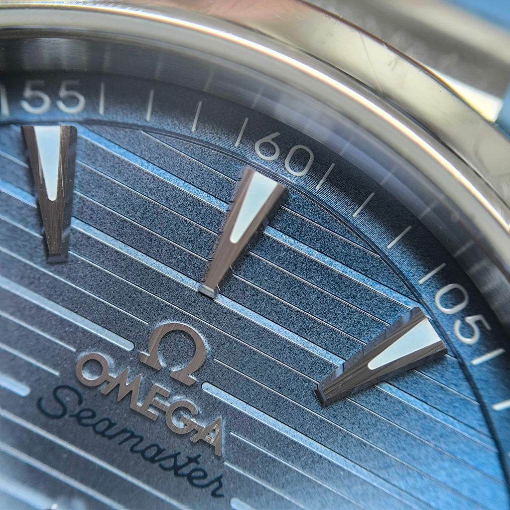 Omega Seahorse 41 millimeters 220.10.41.21.03.005