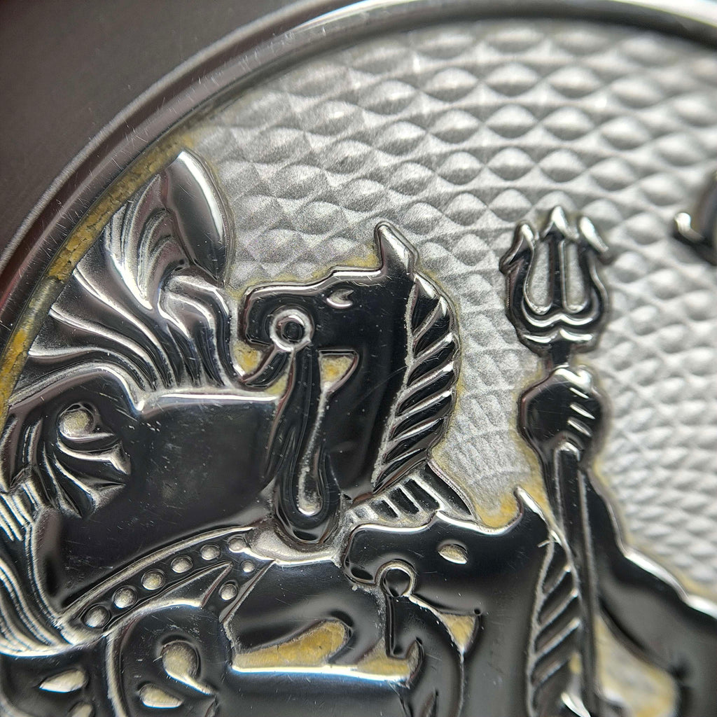 Omega Seahorse 41 millimeters 220.10.41.21.03.005