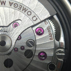 Omega Seahorse 41 millimeters 220.10.41.21.03.005