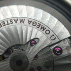 Omega Seahorse 41 millimeters 220.10.41.21.03.005
