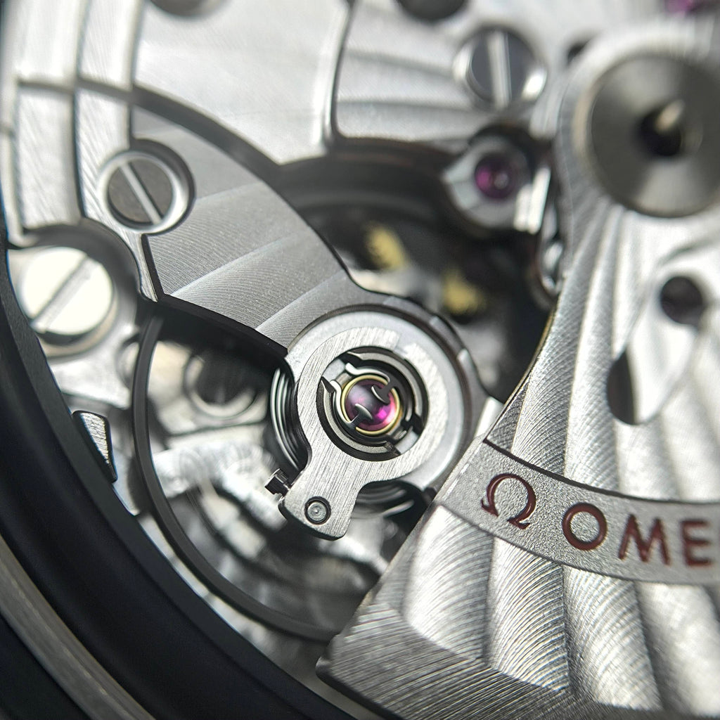 Omega Seahorse 41 millimeters 220.10.41.21.03.005