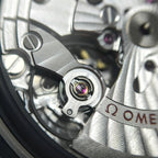 Omega Seahorse 41 millimeters 220.10.41.21.03.005