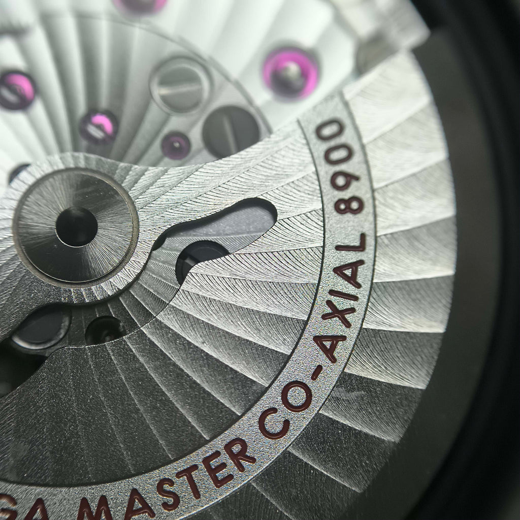 Omega Seahorse 41 millimeters 220.10.41.21.03.005
