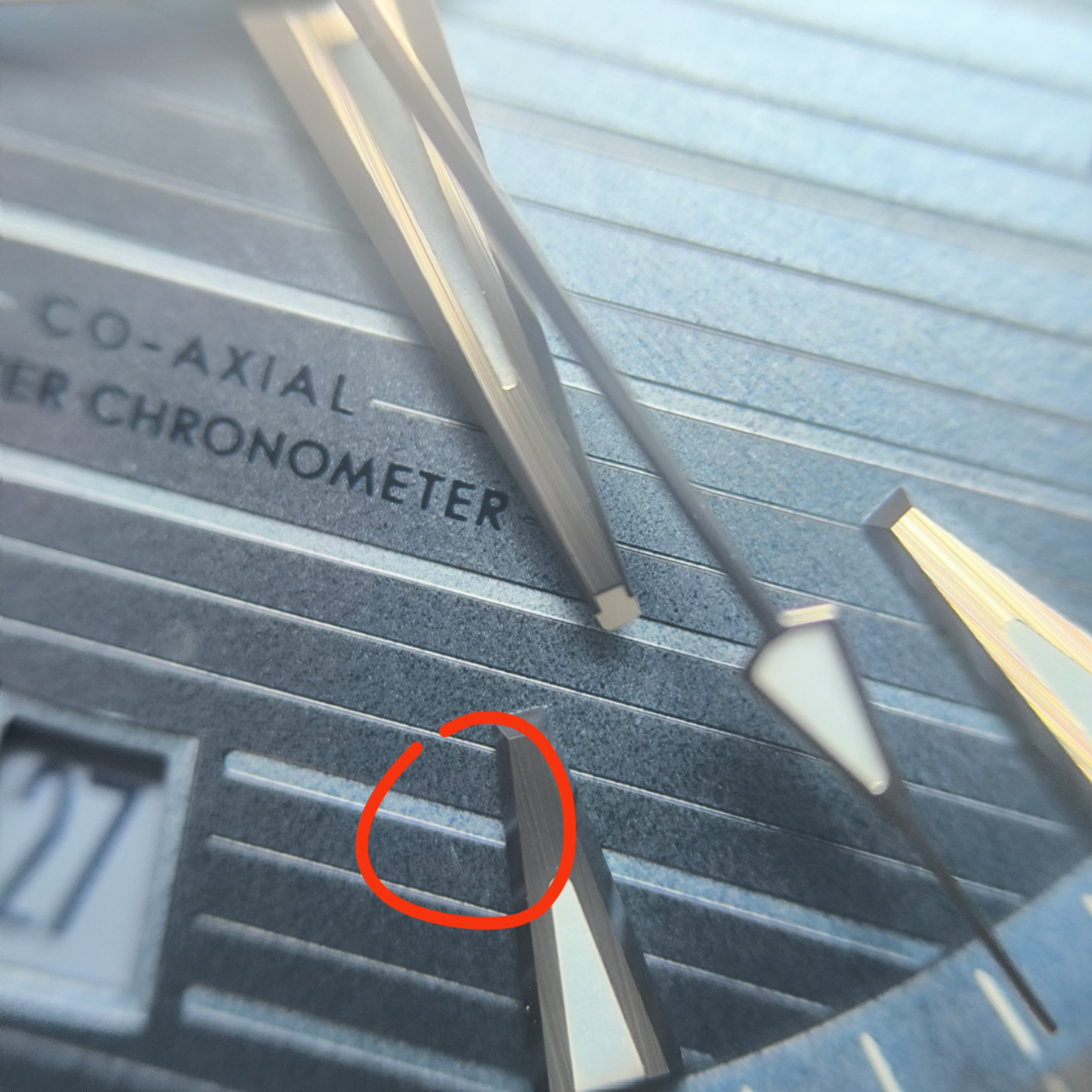 Omega Seahorse 41 millimeters 220.10.41.21.03.005