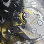 Omega Professional Series 42 310.30.42.50.01.002