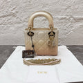 Dior Crossbody