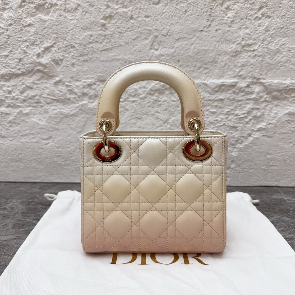 Dior Crossbody