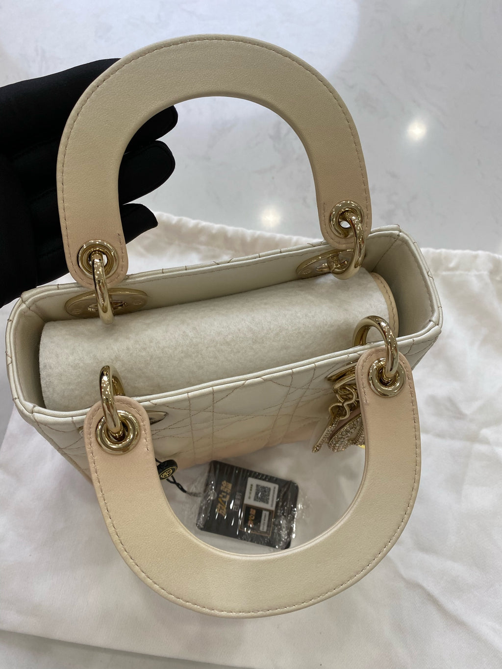 Dior Crossbody