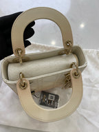 Dior Crossbody