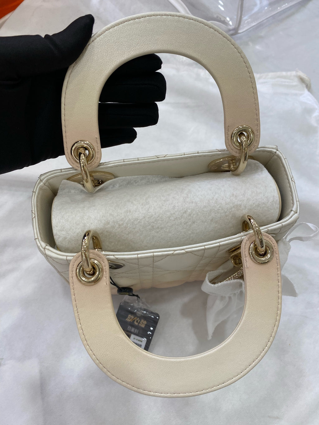 Dior Crossbody