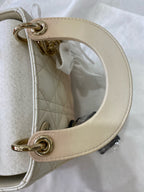 Dior Crossbody