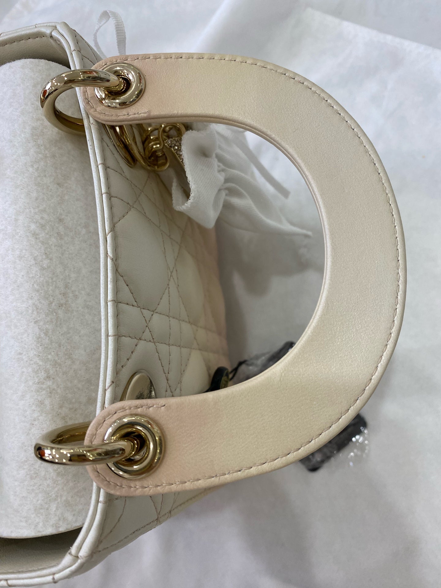 Dior Crossbody