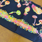 Hermes Multicolor Scarf