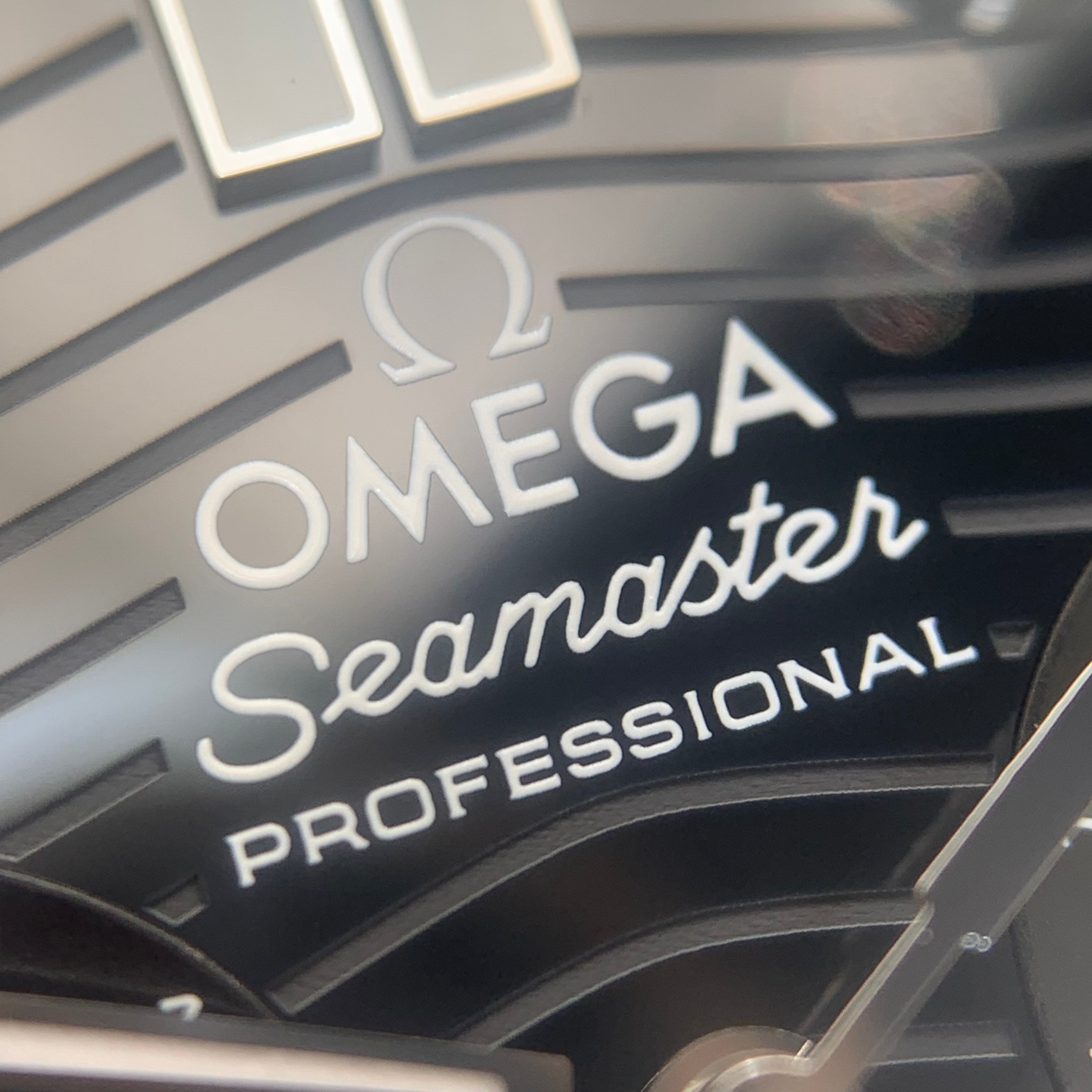 Omega Seahorse Series 44 210.32.44.51.01.001