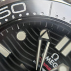 Omega Seahorse Series 42 210.30.42.20.01.001