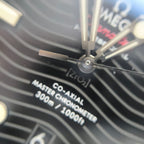 Omega Seahorse Series 42 210.30.42.20.01.001