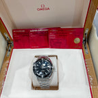 Omega Seahorse Series 43.5 215.30.44.21.01.001