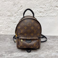 Louis Vuitton Backpack