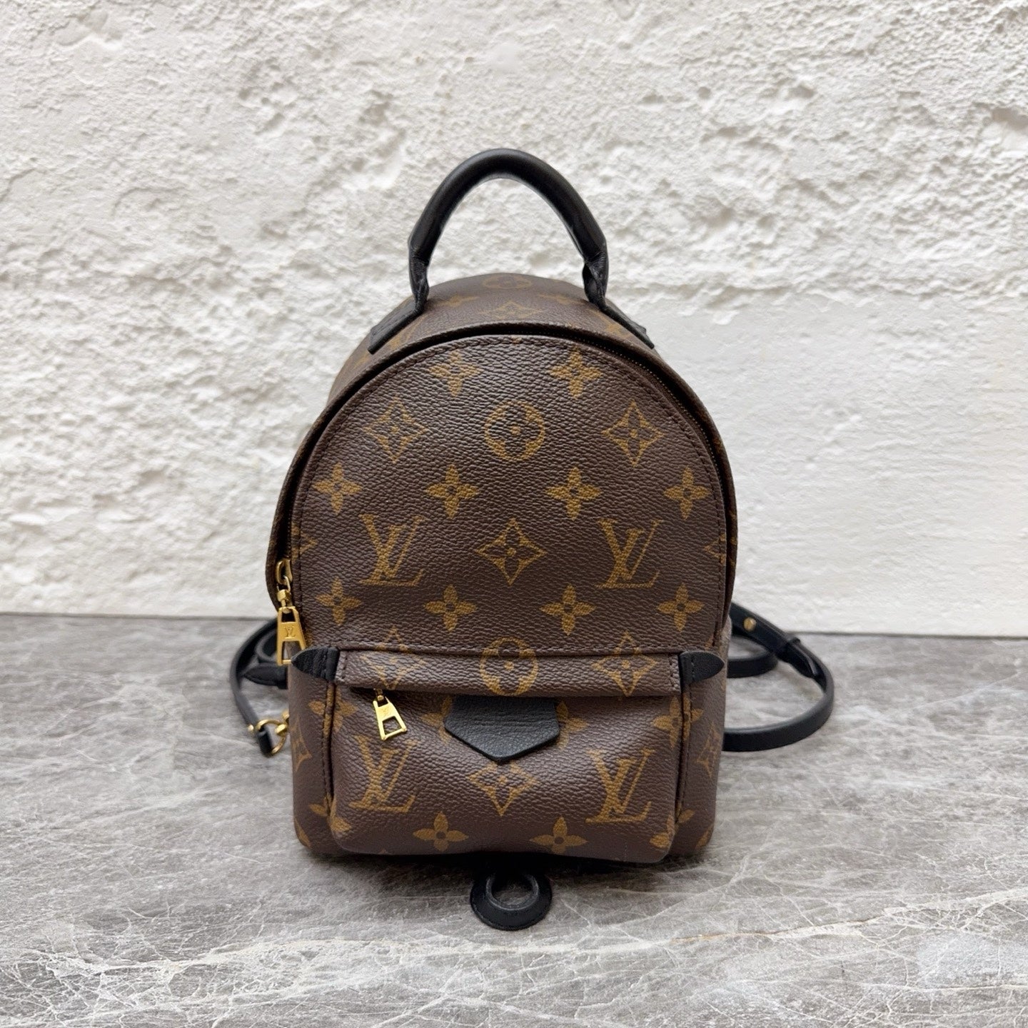 Louis Vuitton Backpack