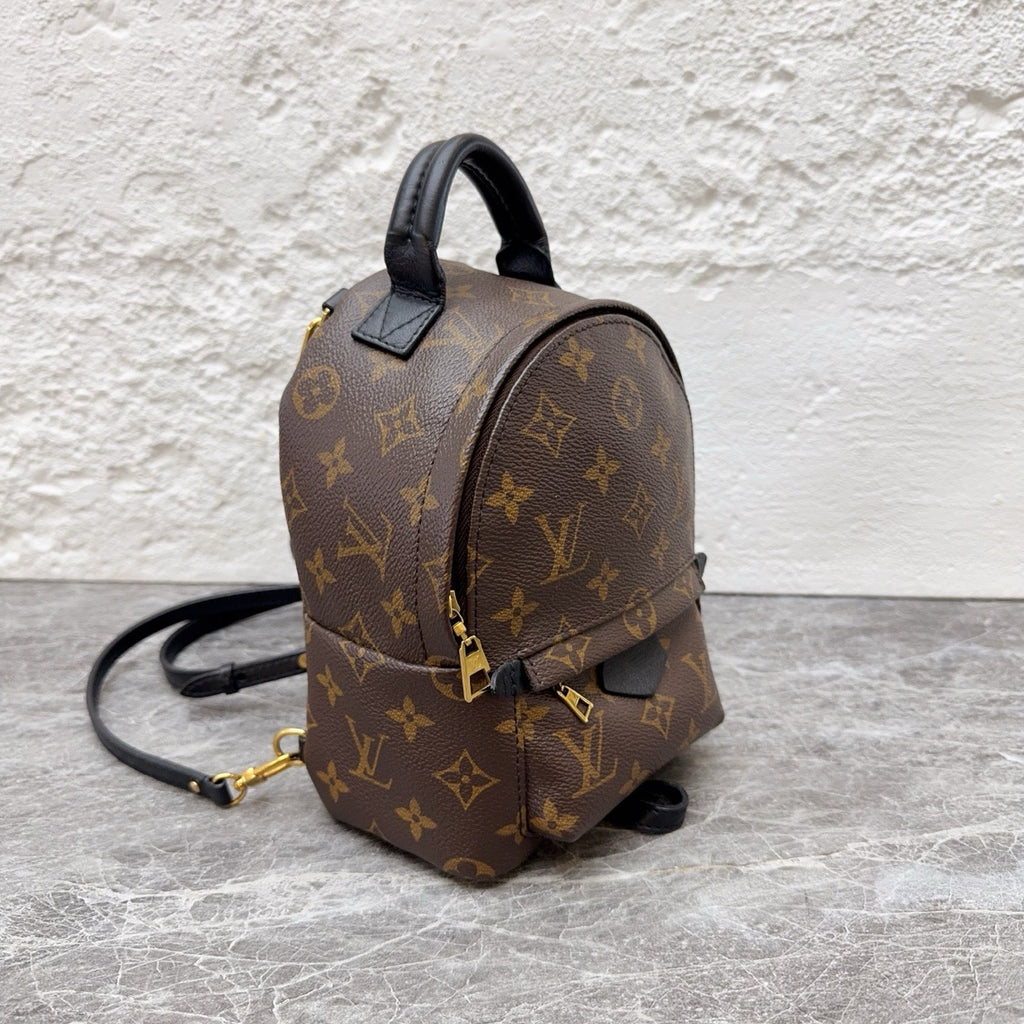 Louis Vuitton Backpack