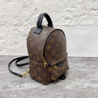 Louis Vuitton Backpack