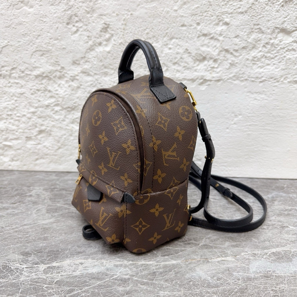 Louis Vuitton Backpack