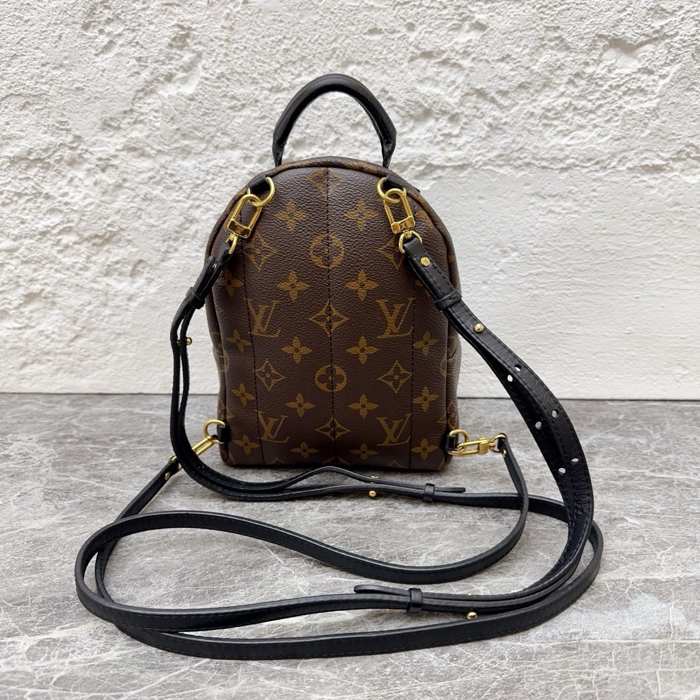 Louis Vuitton Backpack