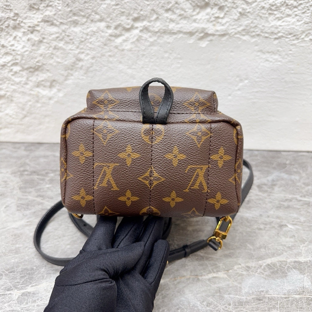 Louis Vuitton Backpack