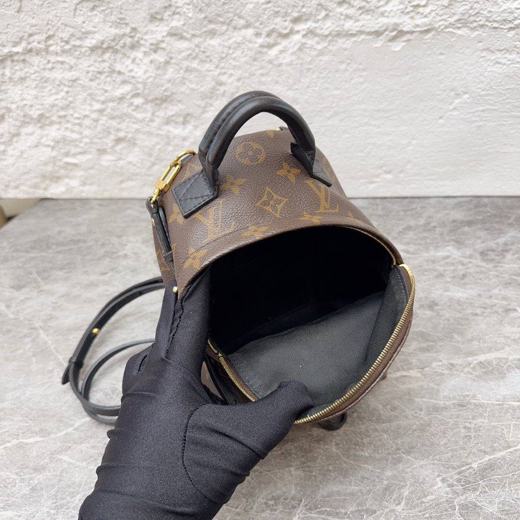Louis Vuitton Backpack