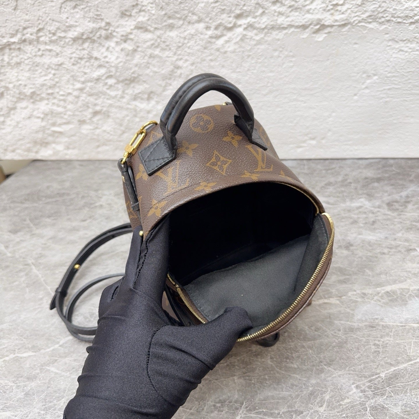 Louis Vuitton Backpack