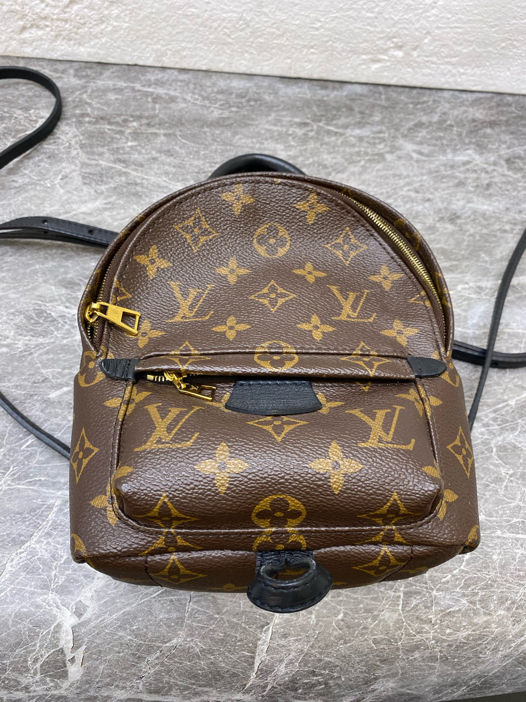Louis Vuitton Backpack