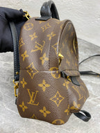 Louis Vuitton Backpack