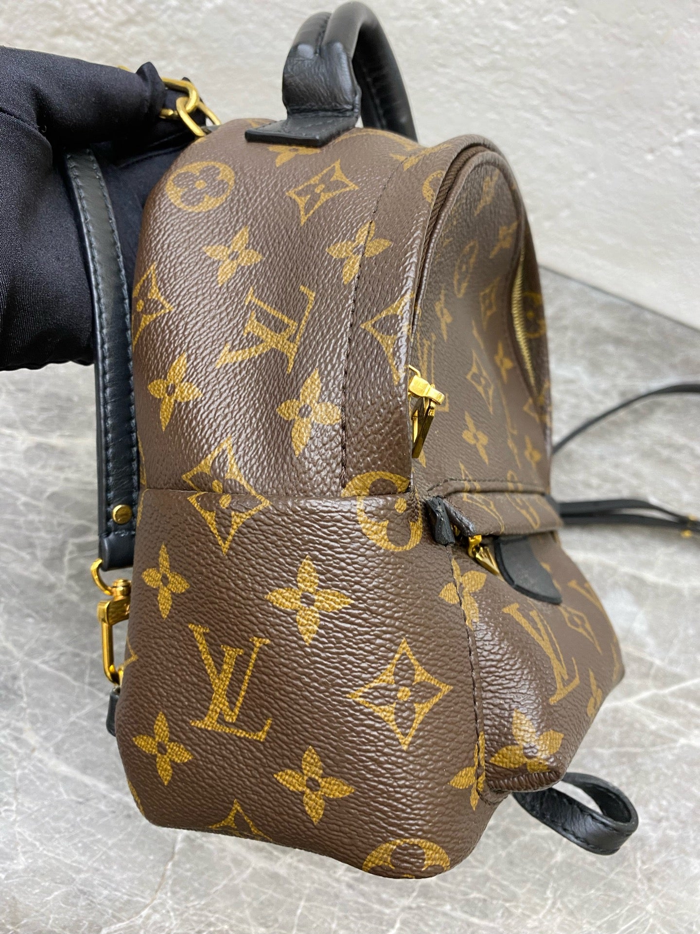 Louis Vuitton Backpack