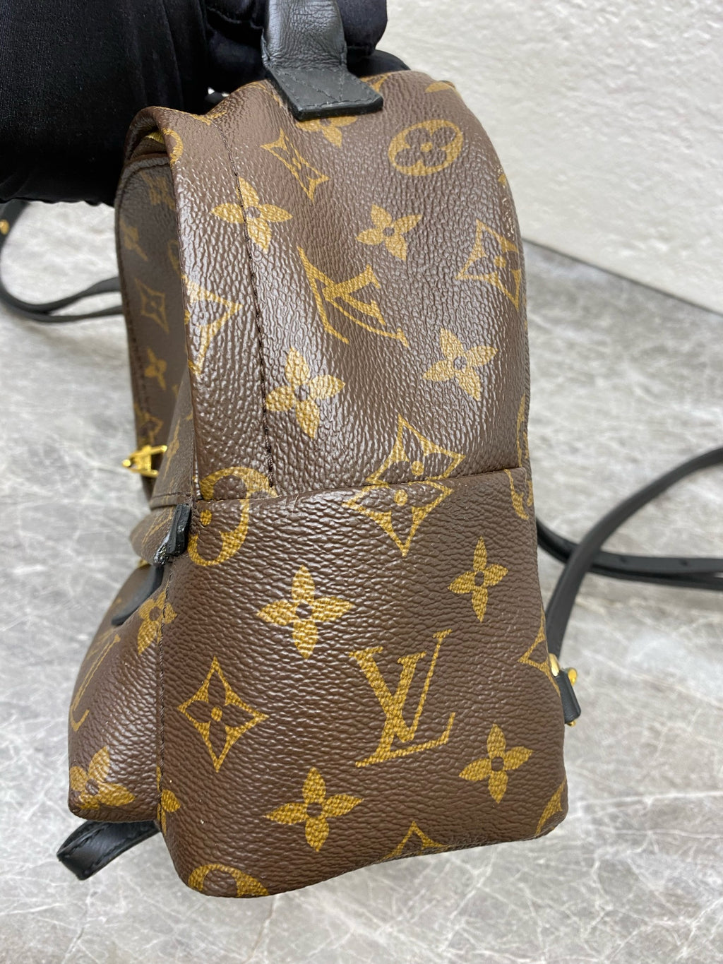 Louis Vuitton Backpack