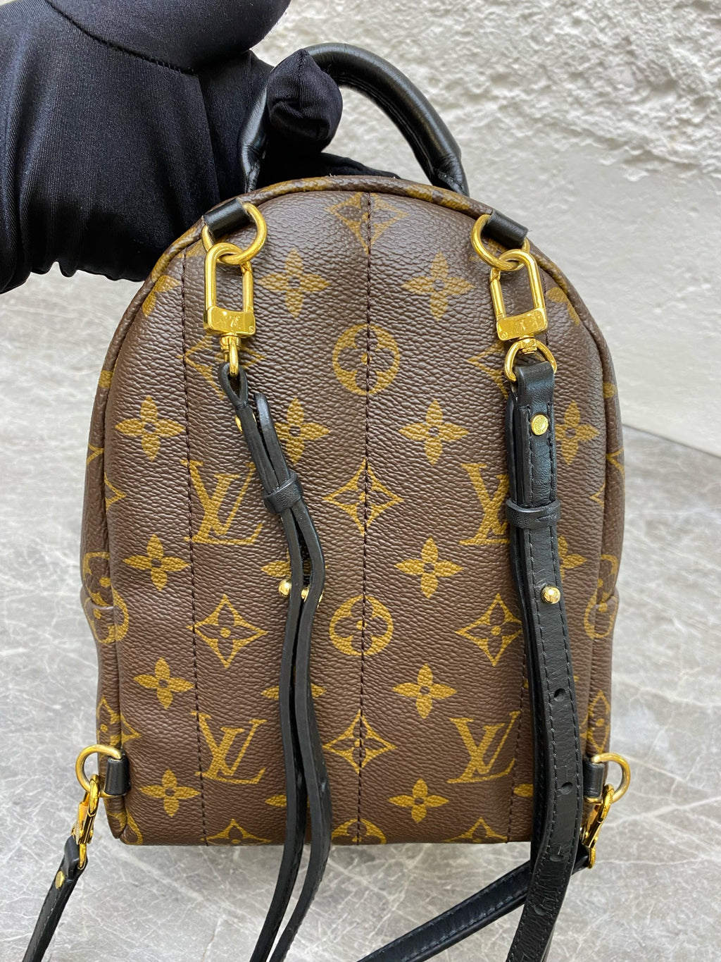 Louis Vuitton Backpack