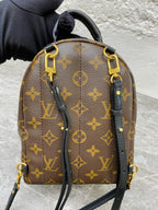 Louis Vuitton Backpack