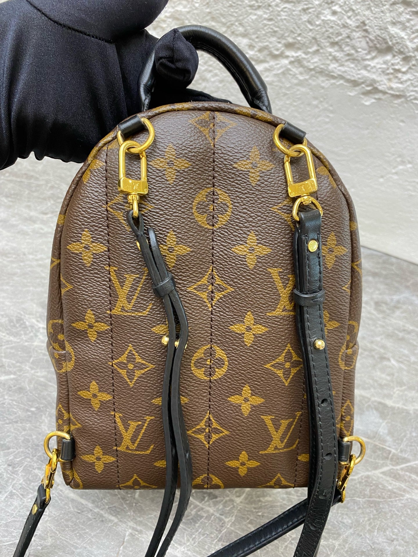 Louis Vuitton Backpack