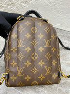Louis Vuitton Backpack